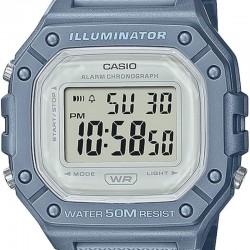 CASIO...