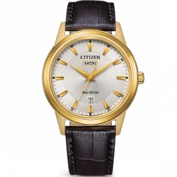 Citizen Eco-Drive AW0102-13AE