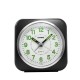 CASIO TQ-143S-1EF alarm clock