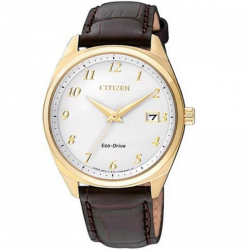 Citizen Eco-Drive BM7322-06A