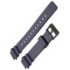 Watch Strap CASIO 10460282