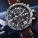 Vostok Europe Almaz 6S11-320H521